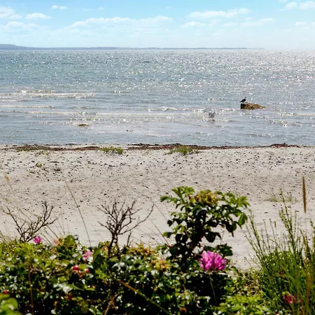 Lovely In Nykobing Sj Apartmán